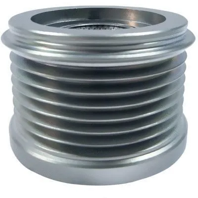 Alternator Freewheel Clutch (45228)