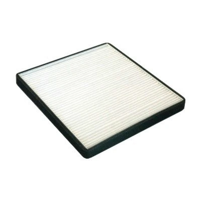 Filter, cabin air (17521)