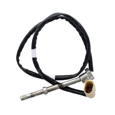 Sensor, exhaust gas temperature (7452307)