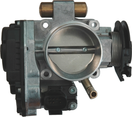 Throttle Body (7519005)