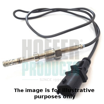 Sensor, exhaust gas temperature (7451997E)