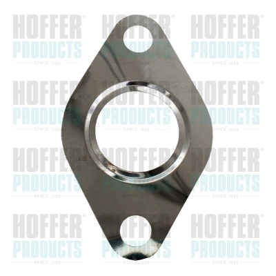 Gasket, EGR valve (016119)