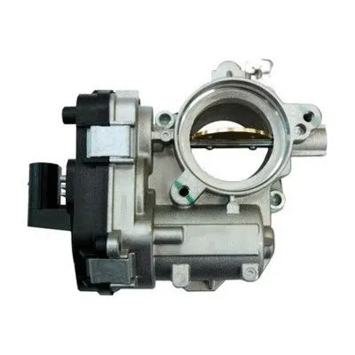 Throttle Body (7519074)