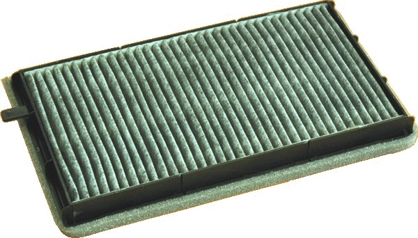 Filter, cabin air (17150FK)