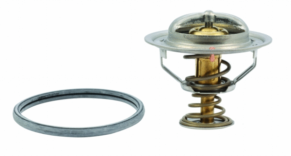 Thermostat, coolant (8192307)