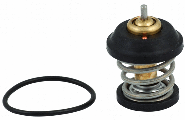 Thermostat, coolant (8192758)