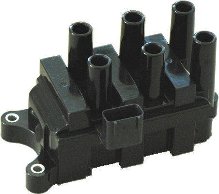 Ignition Coil (8010570)