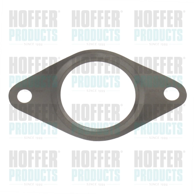 Gasket, EGR valve (016216)