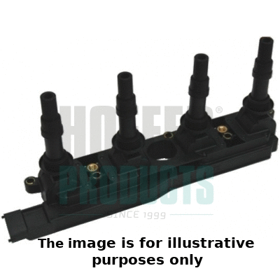Ignition Coil (8010398E)