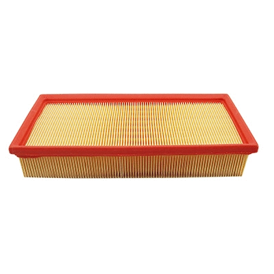 Air Filter (16589)