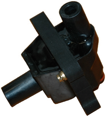 Ignition Coil (8010321)