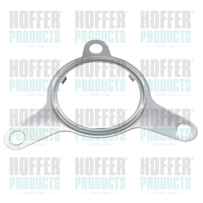 Gasket, EGR valve (016123)