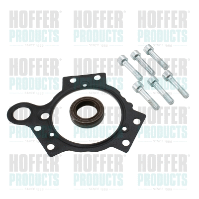 Repair Kit, common rail system (98382)