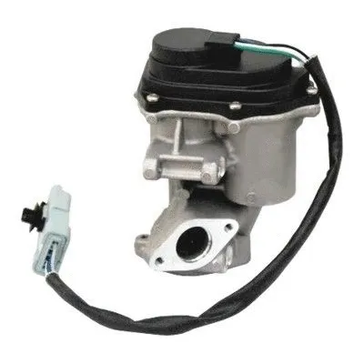 EGR Valve (7518197R)