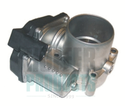 Throttle Body (7519050E)