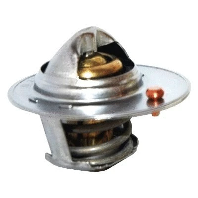 Thermostat, coolant (8192791)