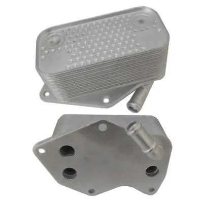 Oil Cooler, engine oil (8095122)