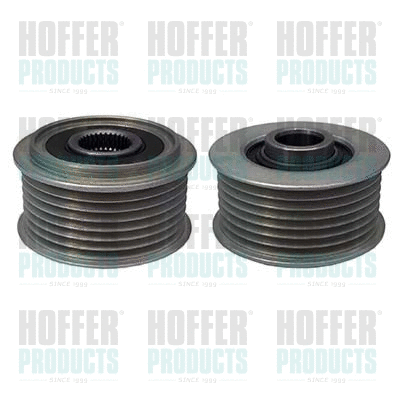 Alternator Freewheel Clutch (45238)