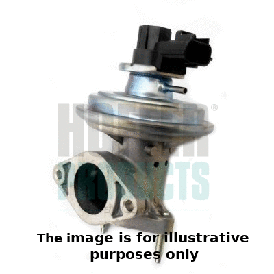EGR Valve (7518356E)