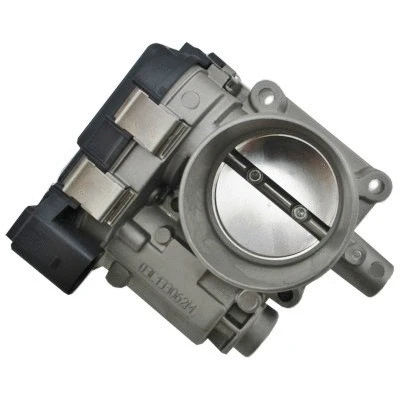Throttle Body (7519372)
