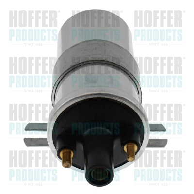 Ignition Coil (8010852)