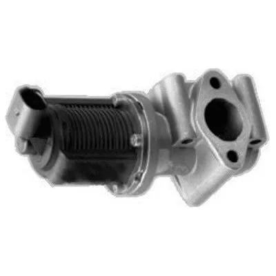 EGR Valve (7518015R)