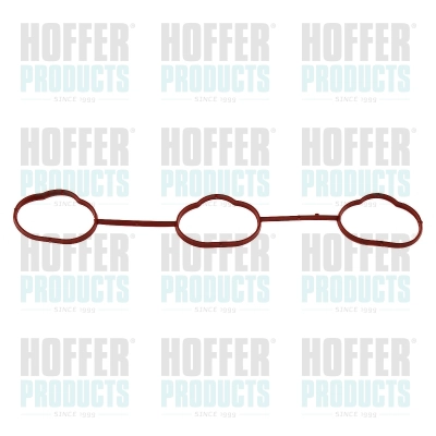 Gasket, intake manifold (016236)