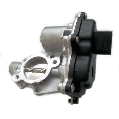 EGR Valve (7519290)