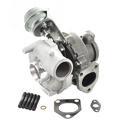 Charger, charging (supercharged/turbocharged) (6900240)