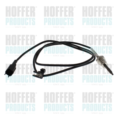 Sensor, exhaust gas temperature (7452619)