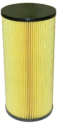 Oil Filter (14066)