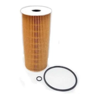Oil Filter (14003)