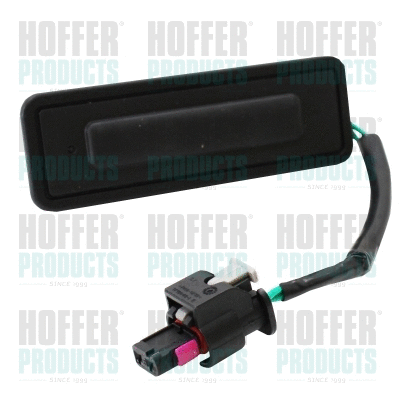 Switch, tailgate release (H206151)