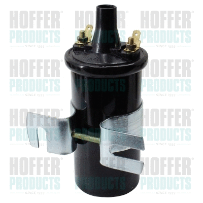 Ignition Coil (8010489E)
