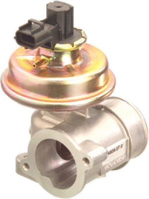 EGR Valve (7518041)