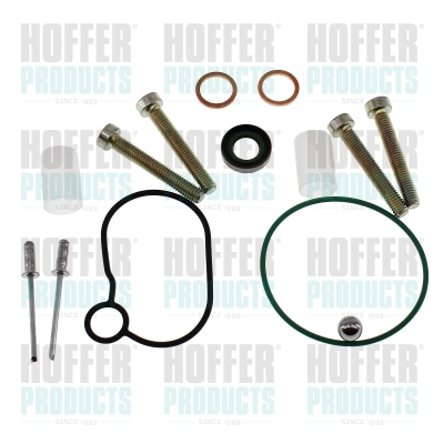 Repair Kit, fuel pump (98781)