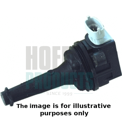 Ignition Coil (8010555E)