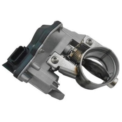 Throttle Body (7519403)