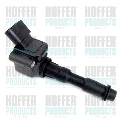 Ignition Coil (8010722)