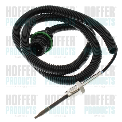 Sensor, exhaust gas temperature (7452765)