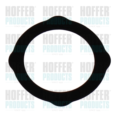 Gasket, EGR valve (016233)