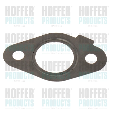Gasket, EGR valve (016259)
