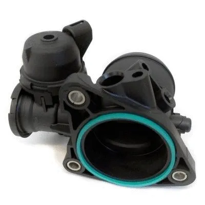 Throttle Body (7519278)