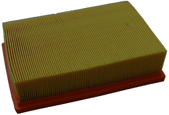 Air Filter (16544)