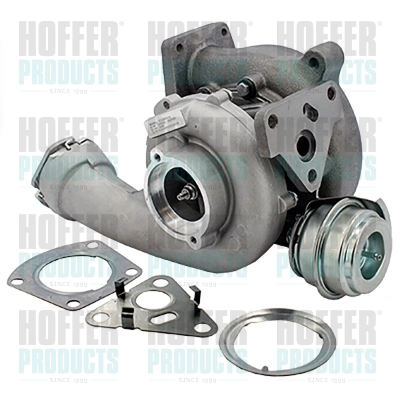 Charger, charging (supercharged/turbocharged) (6900549)