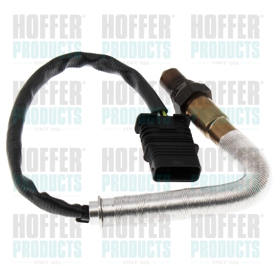 Lambda Sensor (74811107)