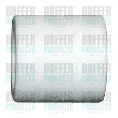 Fuel Filter (4995)