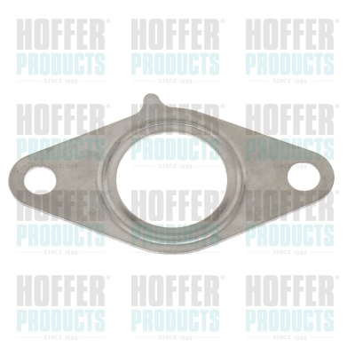 Gasket, EGR valve (016203)