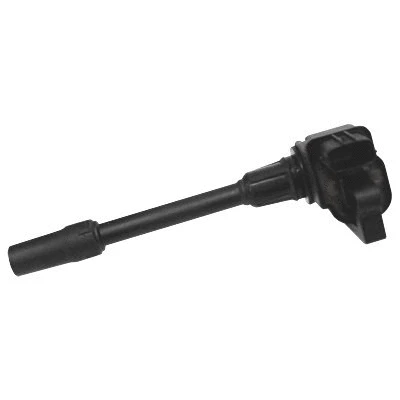 Ignition Coil (8010639)