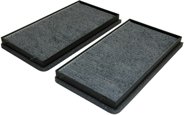 Filter, cabin air (17155FK-X2)